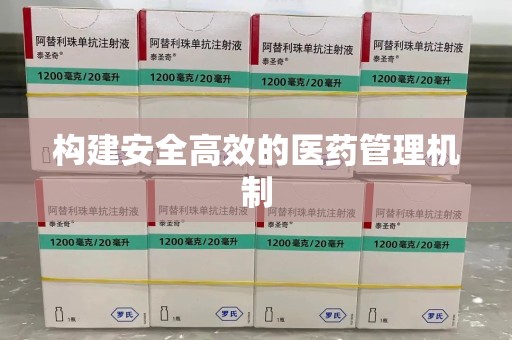 贵阳构建安全高效的医药管理机制