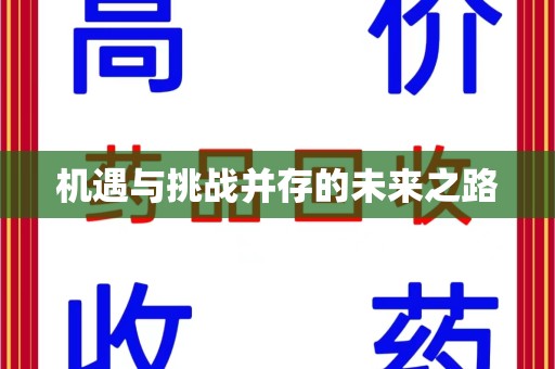 贵阳机遇与挑战并存的未来之路