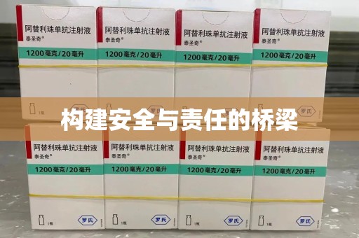 贵阳构建安全与责任的桥梁