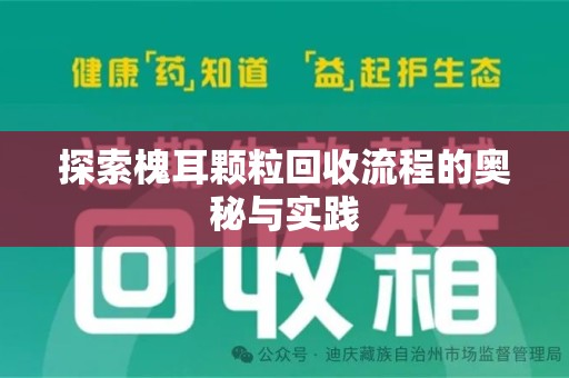 贵阳探索槐耳颗粒回收流程的奥秘与实践