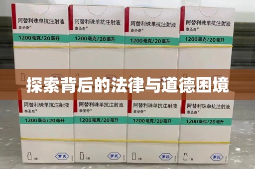 贵阳探索背后的法律与道德困境